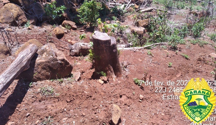 Polícia Militar ambiental autua morador de Realeza por ter dano em área de proteção permanente