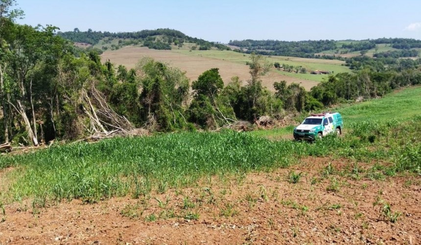 Policial Ambiental registra crimes ambientais em Pato Branco e Capanema