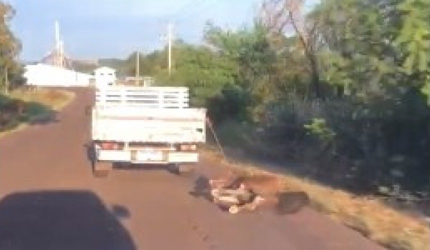 Capitão: Homem é preso após trafegar pela BR-163 arrastando cavalo amarrado em camionete