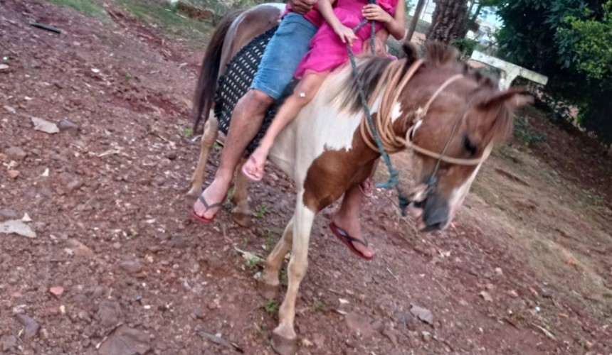 Mãe de garotinha que teve o cavalo arrastado na BR-163 pede sensibilidade para as pessoas