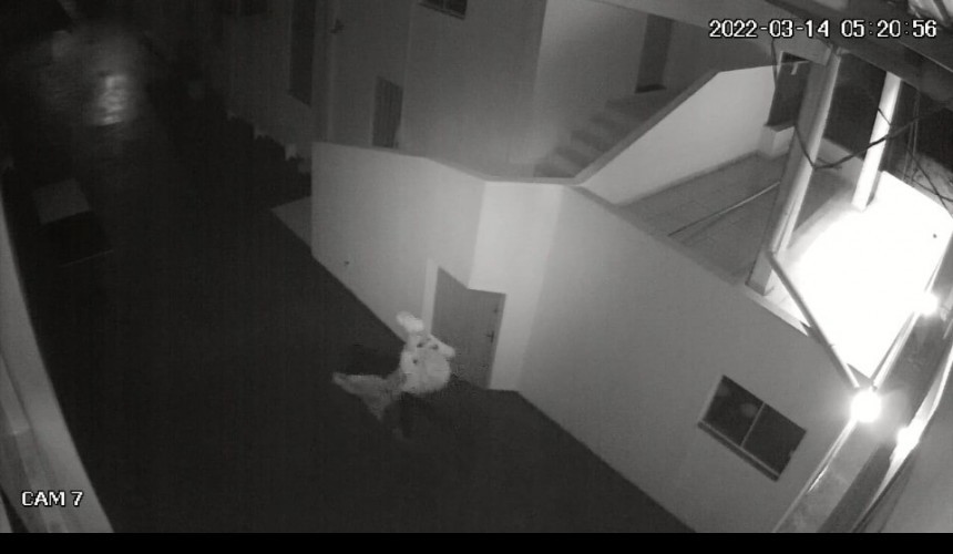 Ladrão invade paróquia Santa Terezinha do Menino Jesus em Cascavel