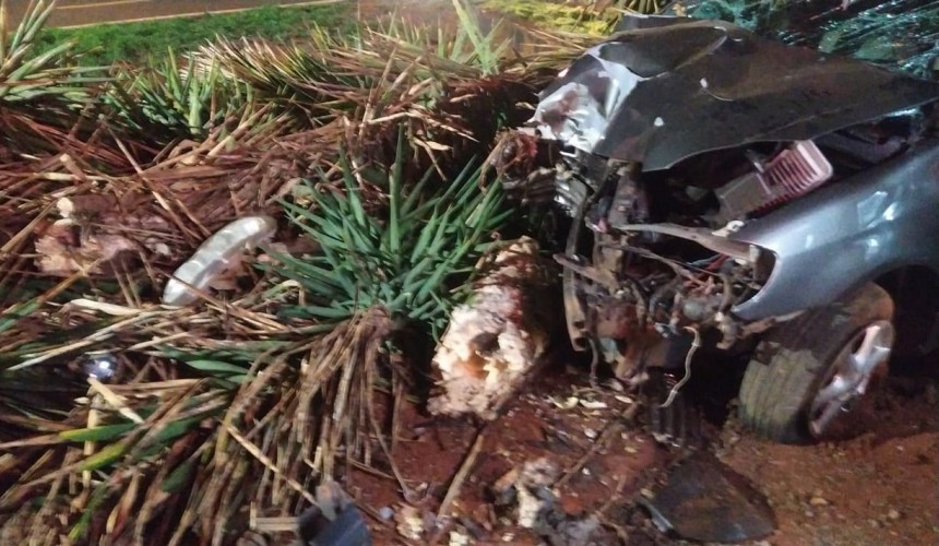 Veículo perde o controle e colide contra árvores entre Realeza e Santa Izabel do Oeste