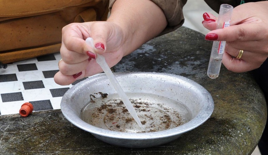 Com aumento de casos, Paraná declara epidemia de dengue