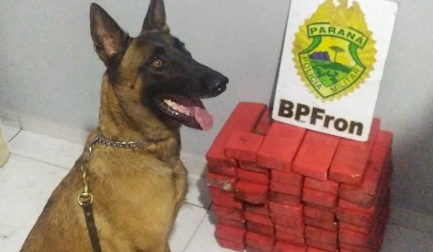 BPFRON apreende drogas em ônibus na cidade de Realeza
