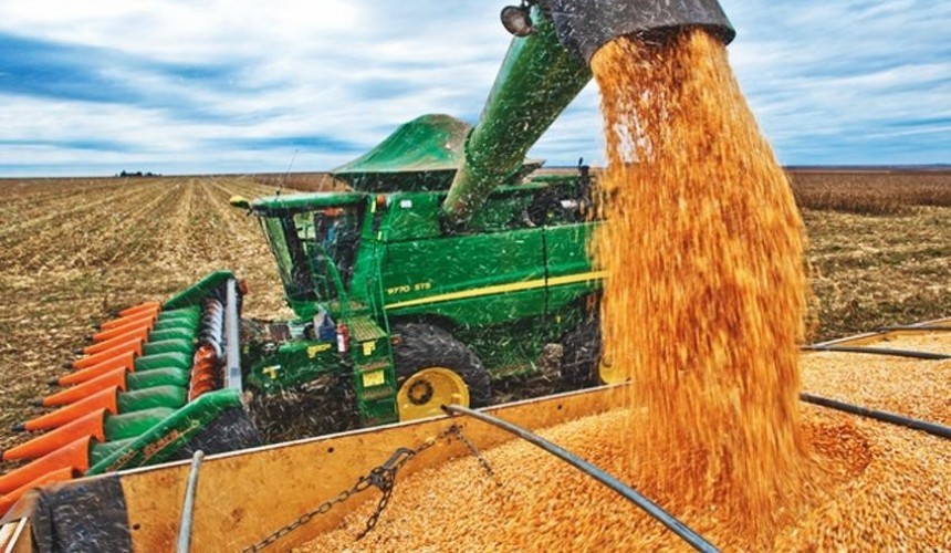 Deral espera recorde na produção de milho do Paraná com 16 milhões de toneladas nesta safrinha