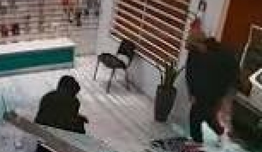 Gangue da marcha ré: Marginais usam veículo para arrombar loja em Santa Tereza do Oeste