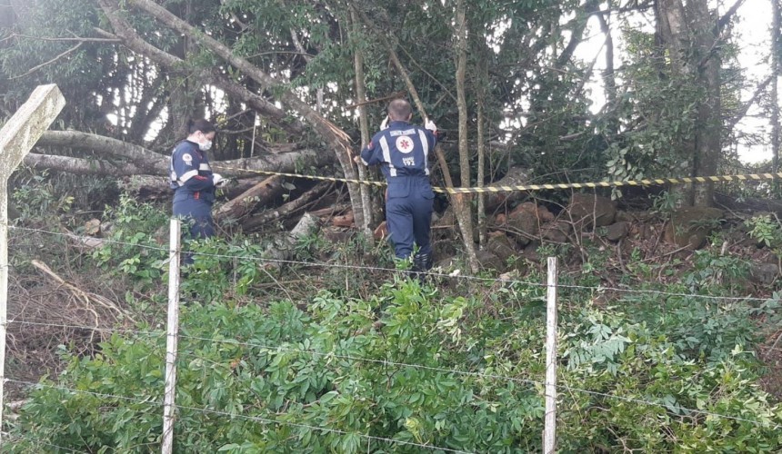 Tragédia: Homem morre atingido por árvore em Ampére