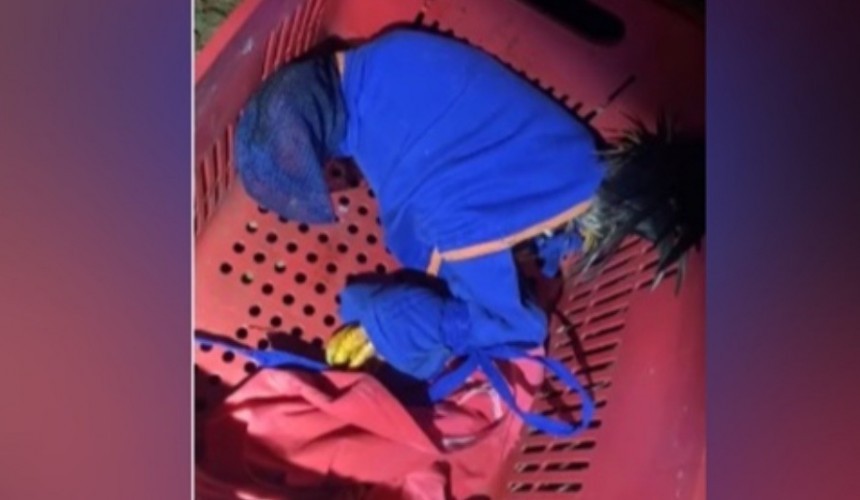 Homem é detido por promover rinha de galo no Paraná