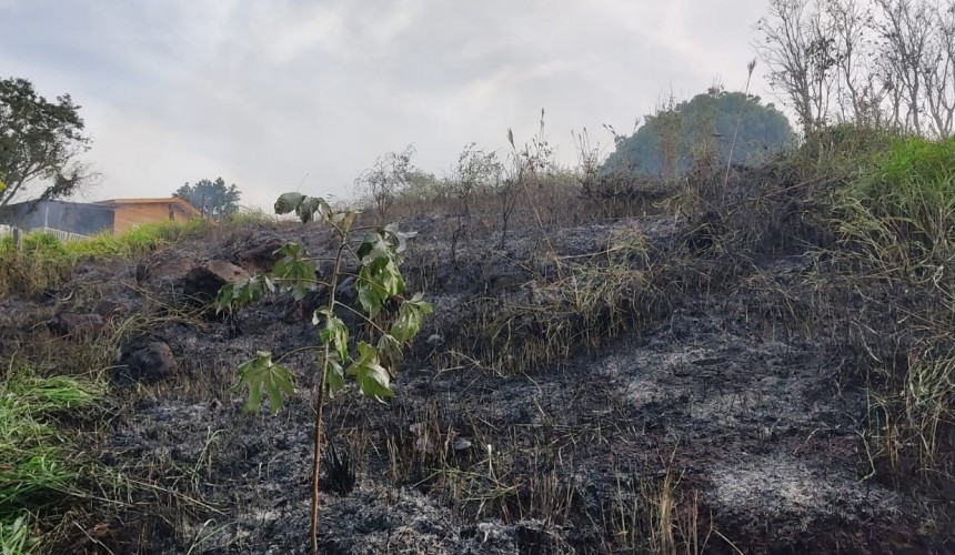 Bombeiros de Capitão atendem incêndio ambiental em Boa Vista da Aparecida