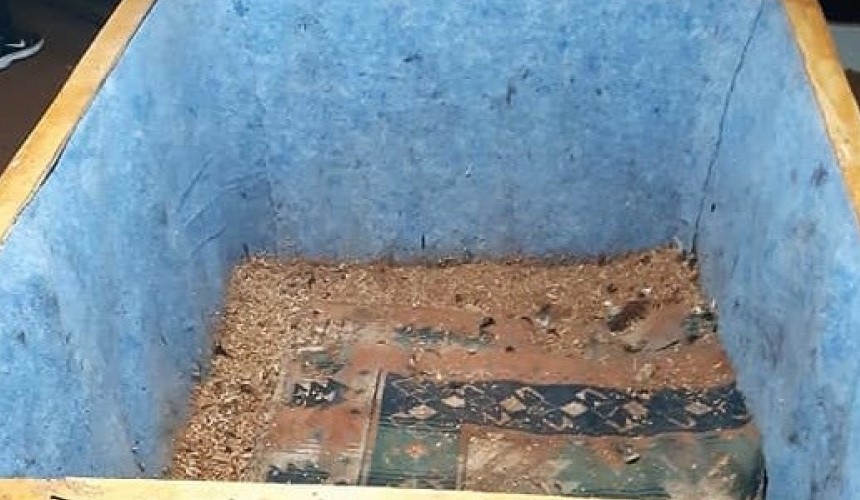 Após denúncia, Polícia Militar flagra rinha de galo no interior de Francisco Beltrão