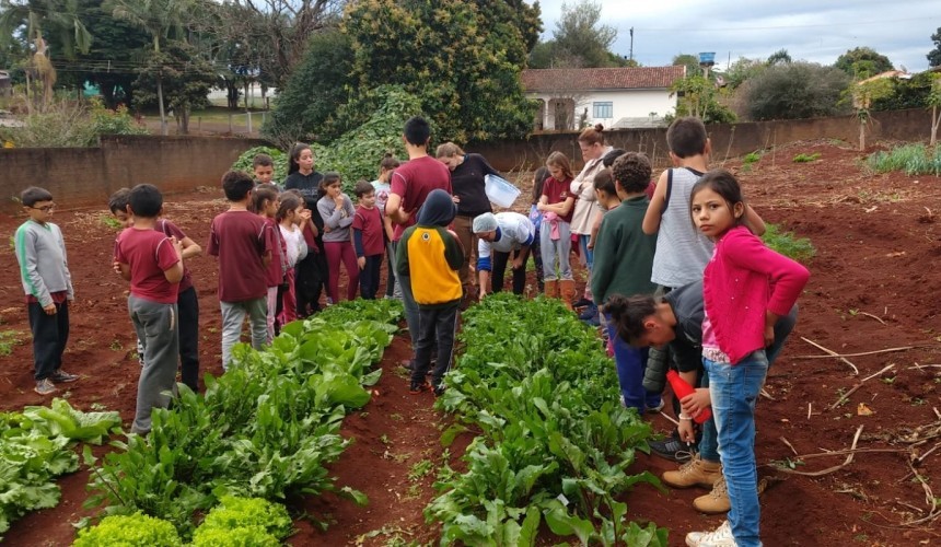 Alunos da rede municipal de Capitão participam de oficina de Horta Comunitária