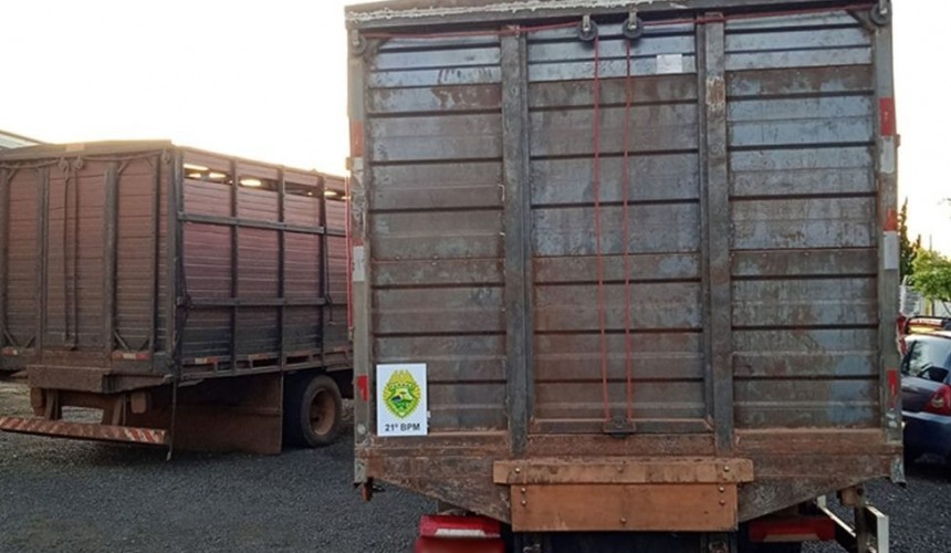 Santo Antônio do Sudoeste: PM apreende dois caminhões com 39 cabeças de gado contrabandeados da Argentina