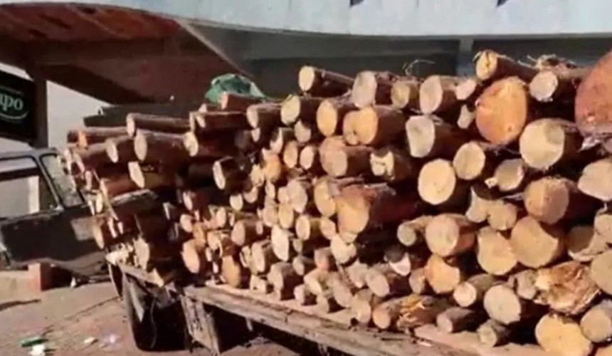 Caminhão carregado com madeira causa estrago em Santo Antônio do Sudoeste
