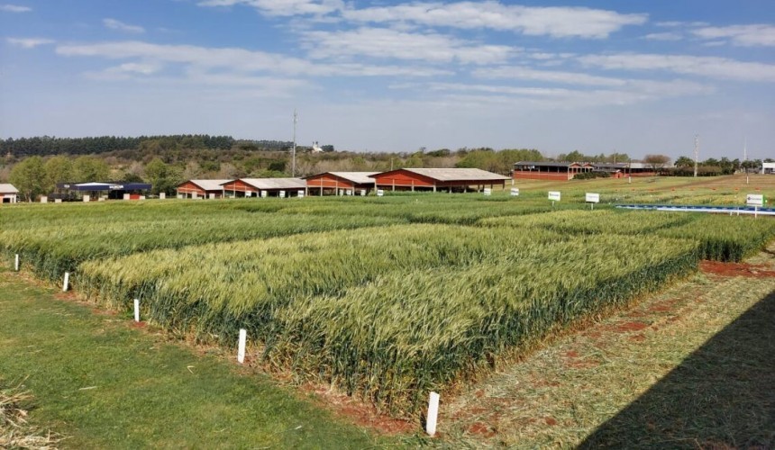 Terceira Edição do Show Rural Coopavel de Inverno irá acontecer dos dias 23 à 25 de Agosto em Cascavel