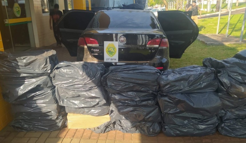 PM apreende mais de 1.300 quilos de camarão em Santo Antônio do Sudoeste