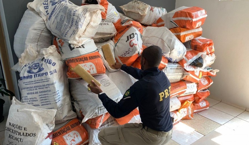 Polícia apreende caminhão com mais de duas toneladas de maconha no Paraná