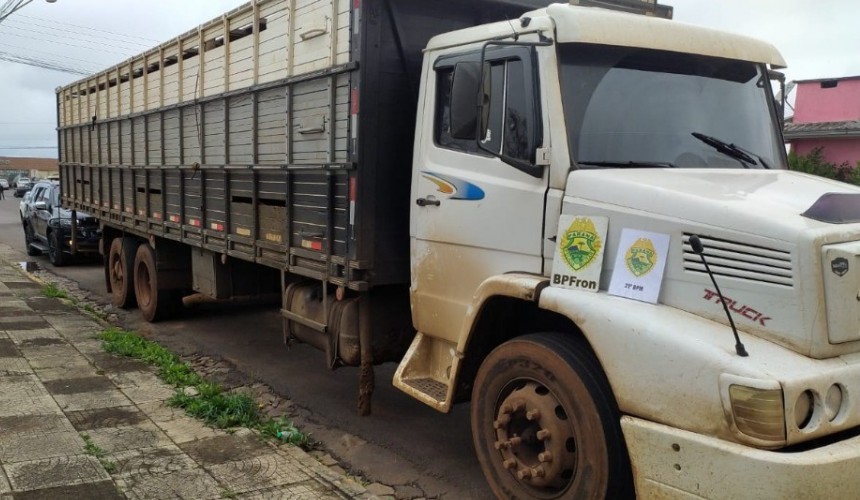 25 gados são apreendidos em transporte ilegal no sudoeste do Paraná