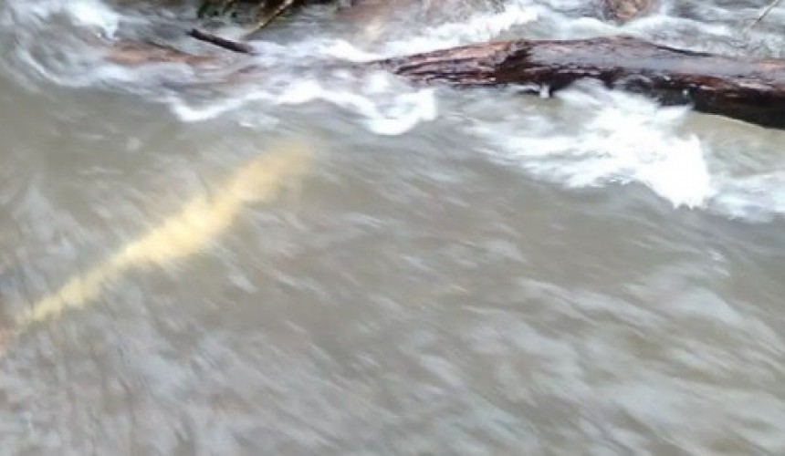 Um homem e duas mulheres são encontrados mortos em rio após serem arrastados pela correnteza em Nova Laranjeiras