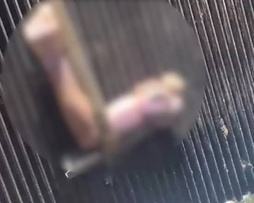 Braço humano é encontrado em tratamento de esgoto no Paraná