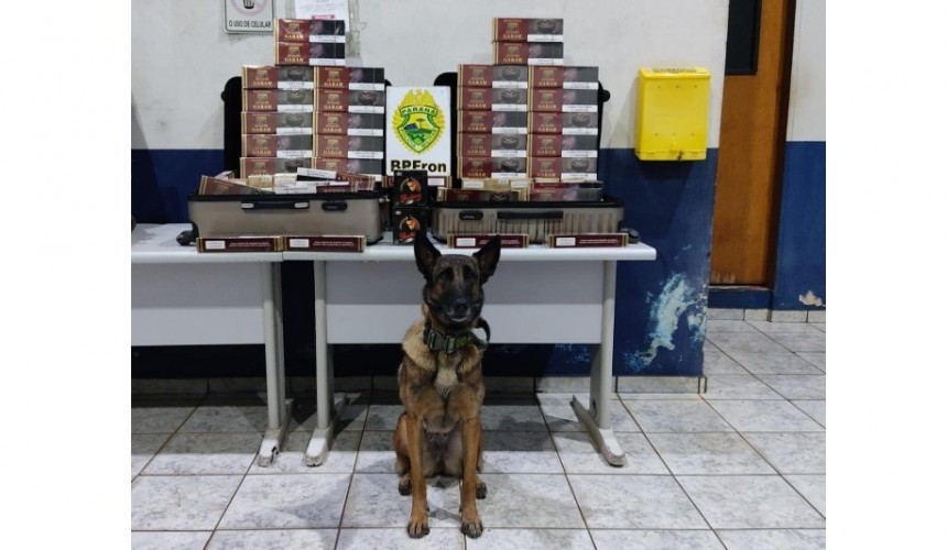 Cigarros e medicamentos contrabandeados são apreendidos em Cascavel
