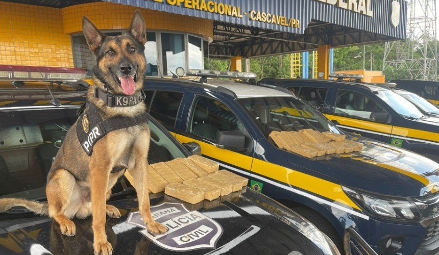 PRF apreende 35 kg de crack em Cascavel