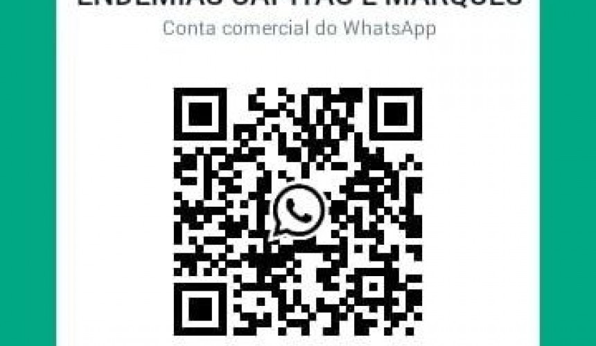 CAPITÃO: WhatsApp para denúncias, reclamações e dúvidas sobre o mosquito da dengue é disponibilizado para a população