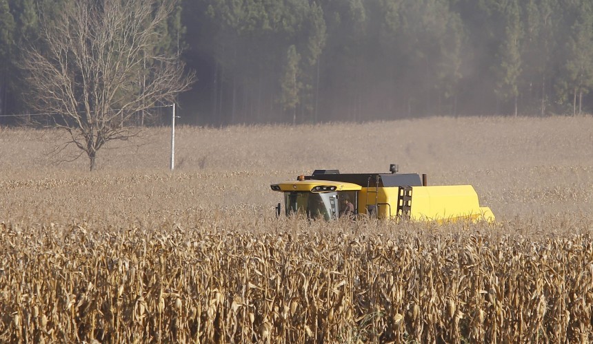 Apesar do clima, agropecuária do Paraná manteve alto rendimento em 2022