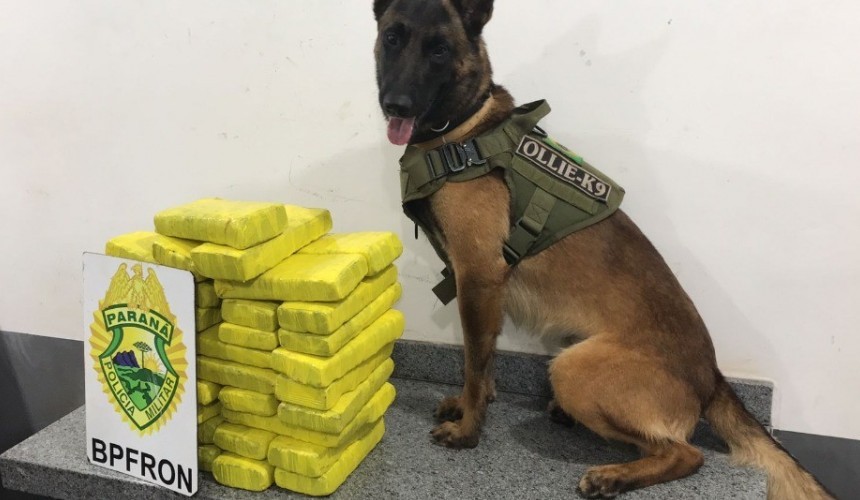 Rapaz é abordado com 23 quilos de maconha em Cascavel