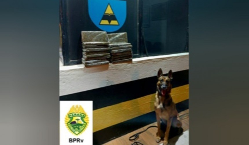 Adolescente é apreendido transportando mais de 13 Kg de maconha em Realeza