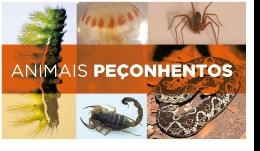 Corpo de Bombeiros de Capitão alerta para o aumento de aparecimento de animais peçonhentos