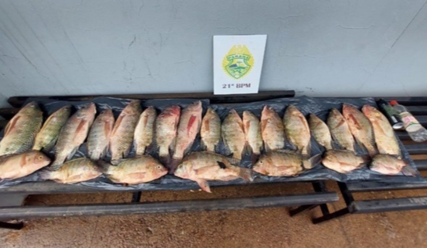 Homem é preso por pescar 9 kg de peixe em local proibido no Paraná