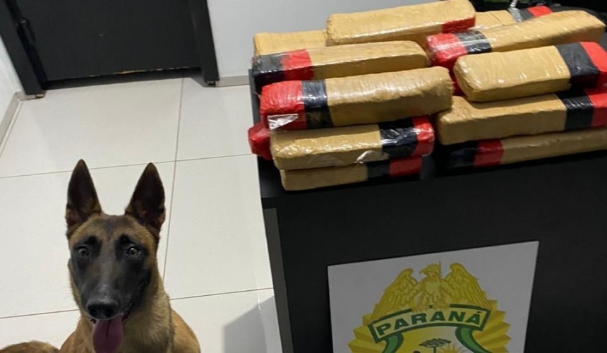 BPFRON apreende droga em Realeza