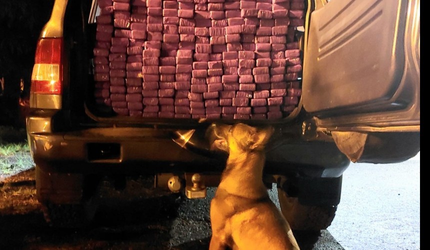 Homem é preso com 150kg de maconha em Realeza