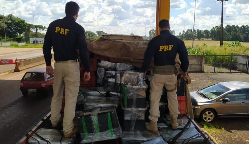 PRF faz a maior apreensão de maconha do Sul do Brasil