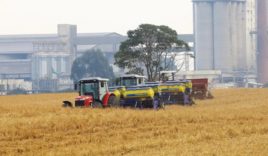 Agricultura paranaense tem boa expectativa após verão chuvoso