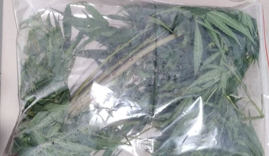 Polícia Civil de Capanema prende homem por maus tratos aos animais e posse de drogas