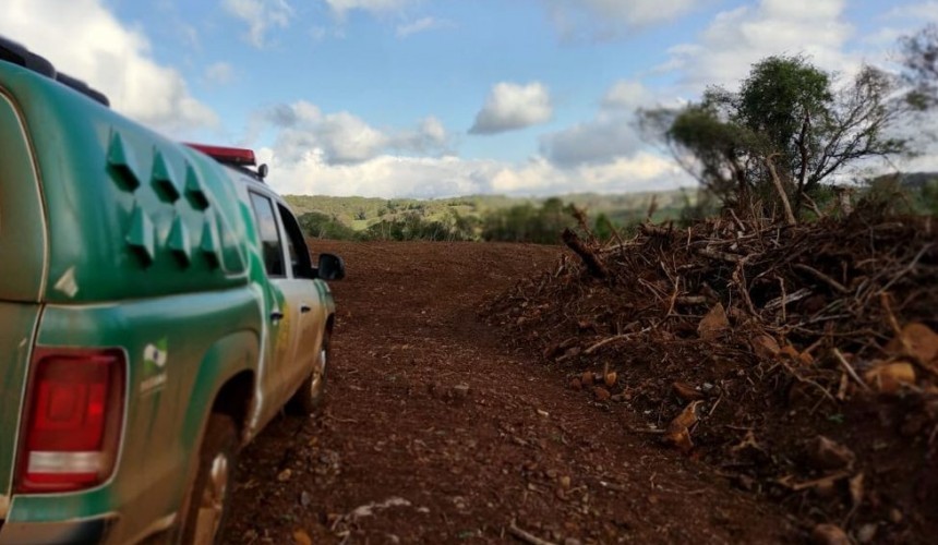 Polícia Ambiental flagra desmatamento em propriedade rural em Marmeleiro