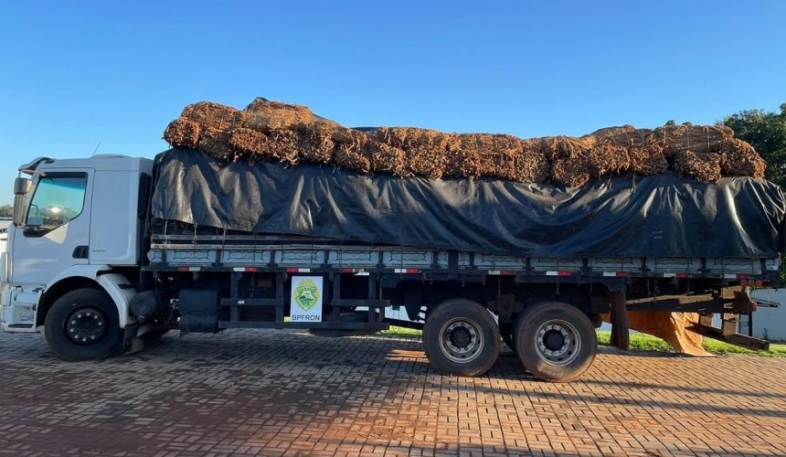 BPFron apreende caminhão carregado com 15 toneladas de fumo em Santo Antônio do Sudoeste