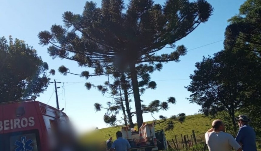 Homem morre após sofrer choque elétrico ao colher pinhão
