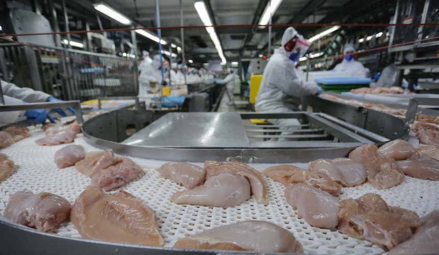 Paraná atinge 2 milhões de toneladas de proteínas exportadas pela primeira vez na história