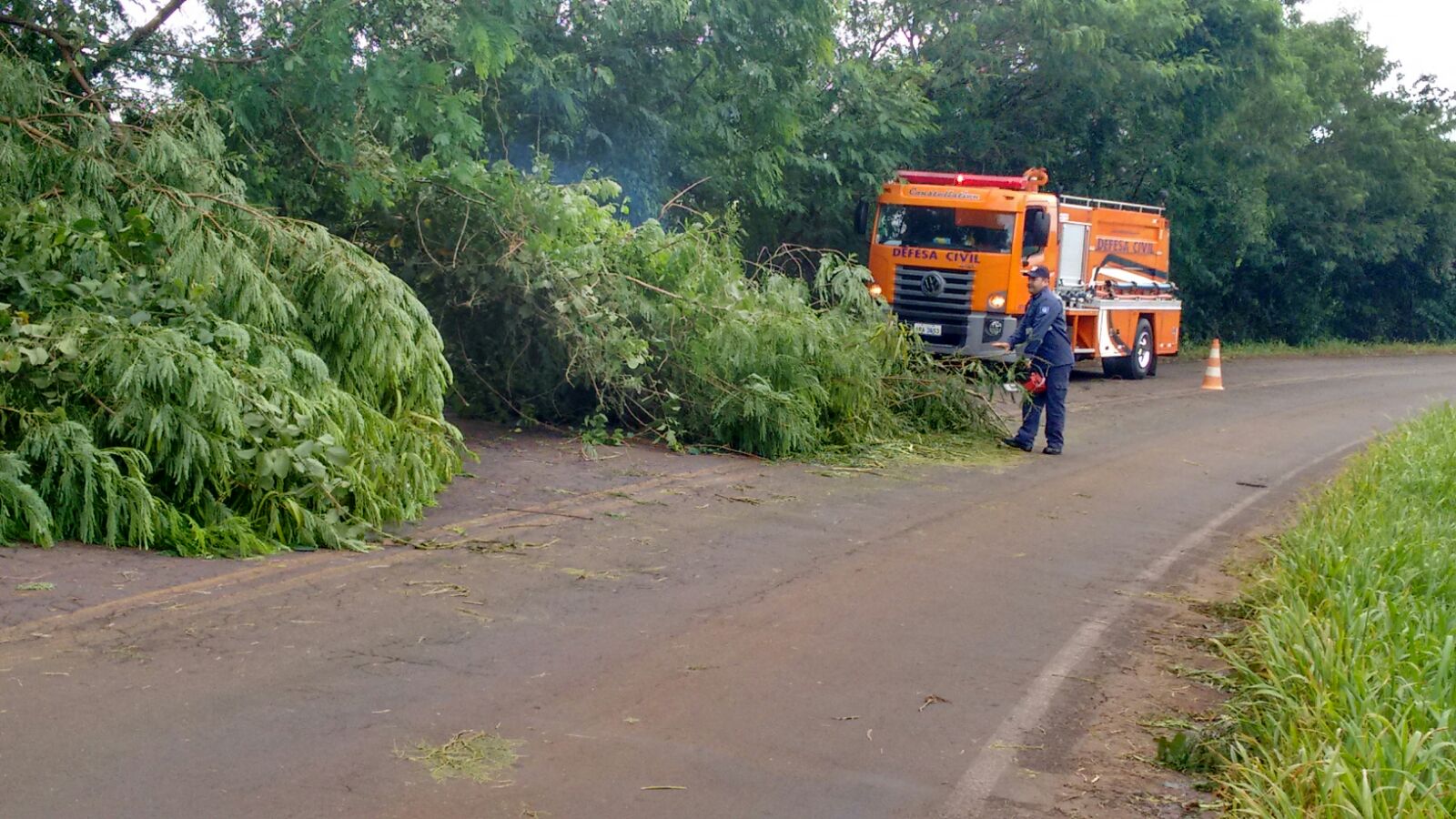 Chuva e vento derrubam árvores e postes em Capitão