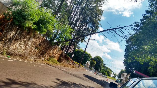 Bombeiros de Capitão são chamados para cortar arvore que caiu 