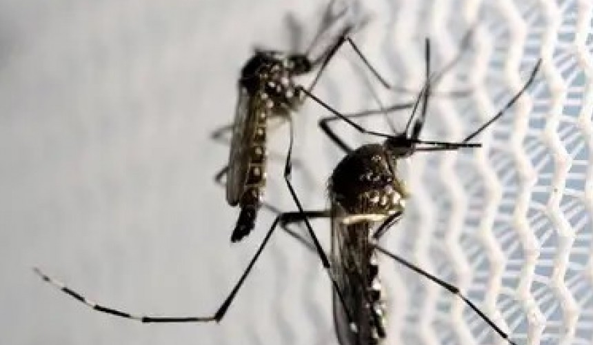 Boa Vista da Aparecida registra mais dois óbitos por dengue