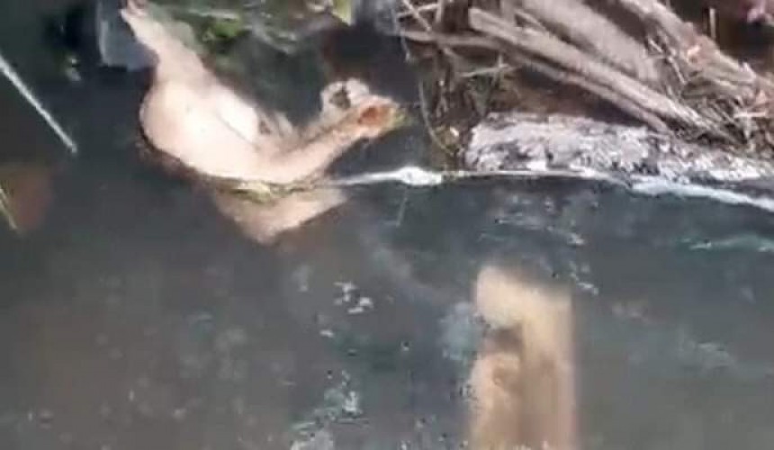 Homem é encontrado morto em rio no Paraná