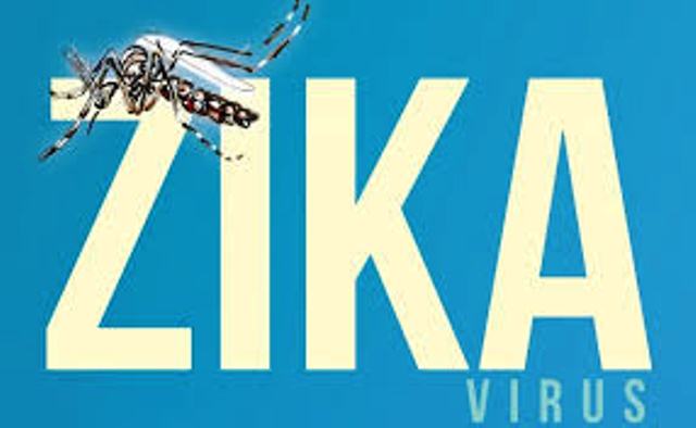 Confirmado primeiro caso de Zika Vírus em Salto do Lontra