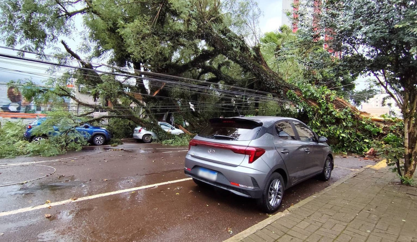 Temporal causa estragos no Centro de Cascavel; 8 veículos foram atingidos e 5 mil imóveis estão luz