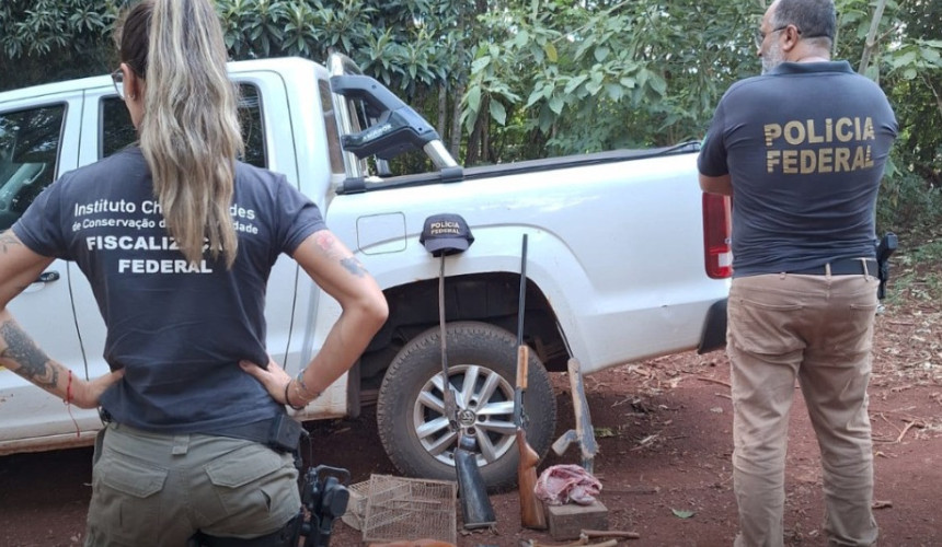 Galos em situação de maus-tratos são resgatados de rinha em Capanema