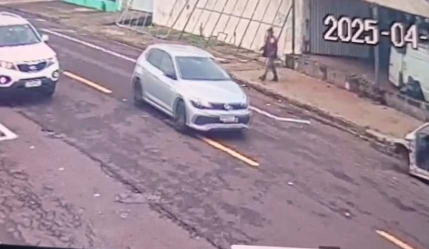 Cachorro é ferido a chicotadas por homem em situação de rua em Cascavel