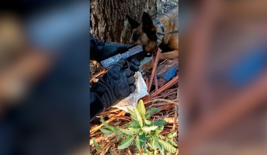 Cão farejador encontra mochila com armas e munições em Boa Vista da Aparecida