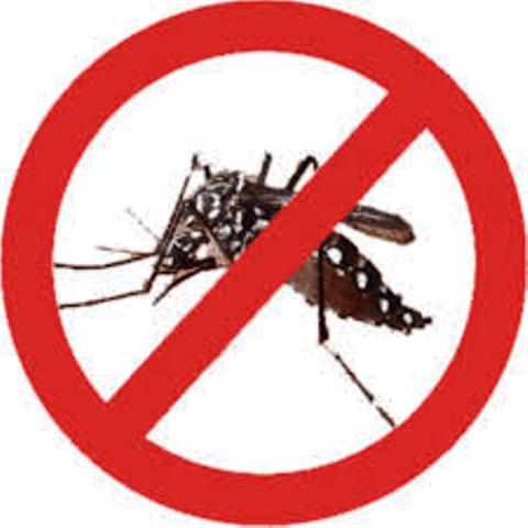 Equipe da saúde divulga que Capitão já contabiliza 115 casos notificados de dengue